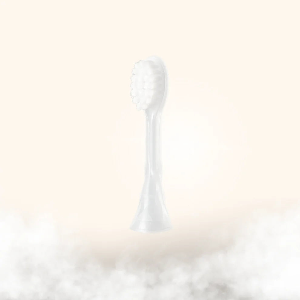 Brush Attachment