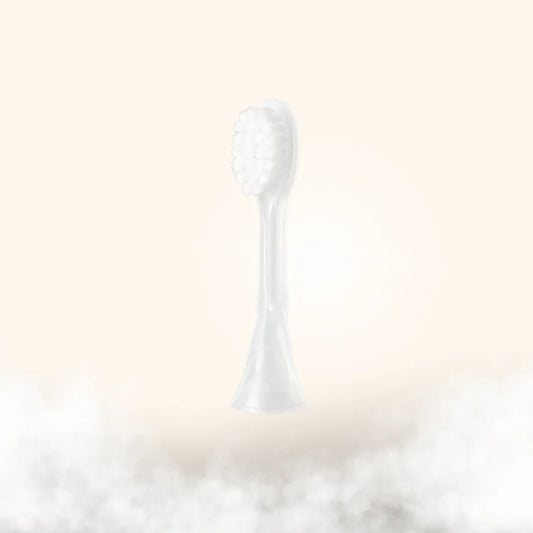 Brush Attachment
